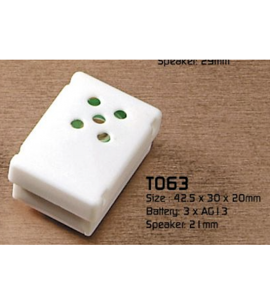 T063 Speaker